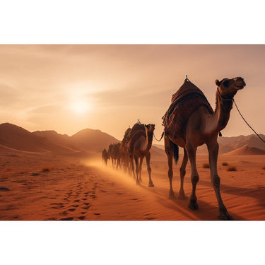 Camel Desert canvas